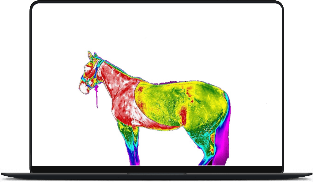 Discover our Veterinary Thermography Products
